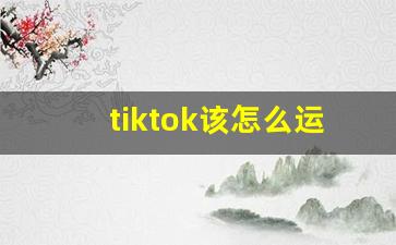 tiktok该怎么运营_tiktok dau